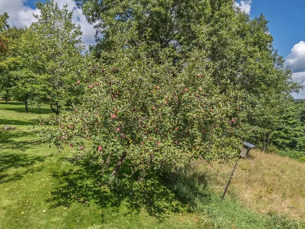 $949,900 | S1312 Brandt Road, La Valle, WI 53941