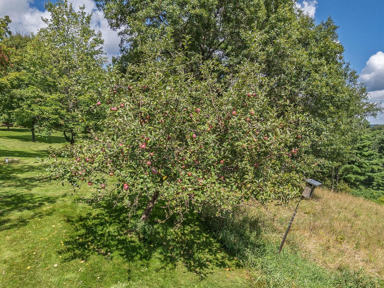 S1312 Brandt Road La Valle, WI 53941 - Photo 63 of 72