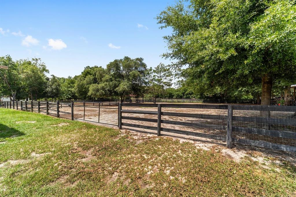 16392 Northeast Jacksonville Road Citra, FL 32113 - Photo 33 of 44 a view of backyard and trees