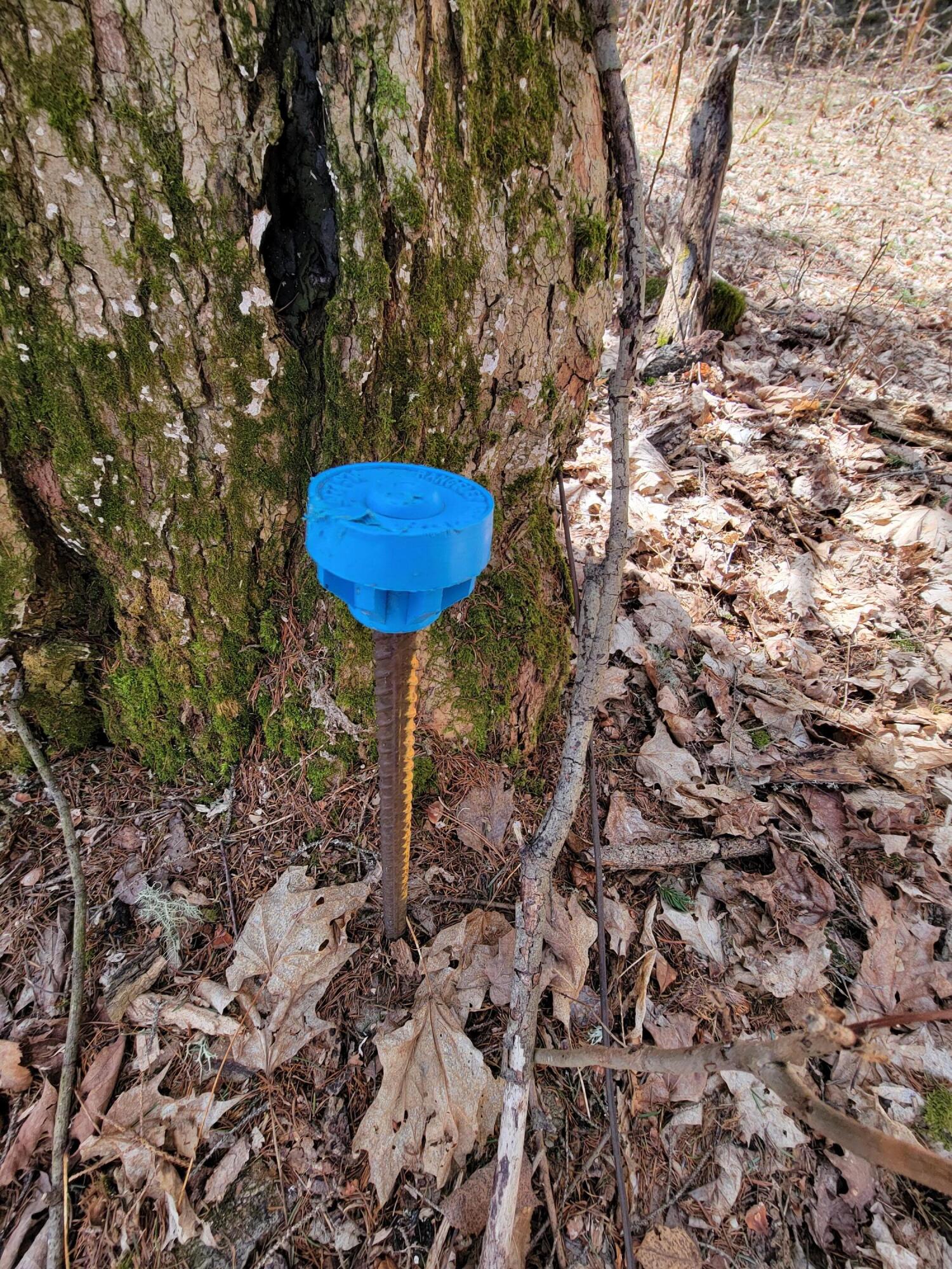 Lot 37 Quimby Pond Road Rangeley, ME 04970 - Photo 4 of 22 surveyed
