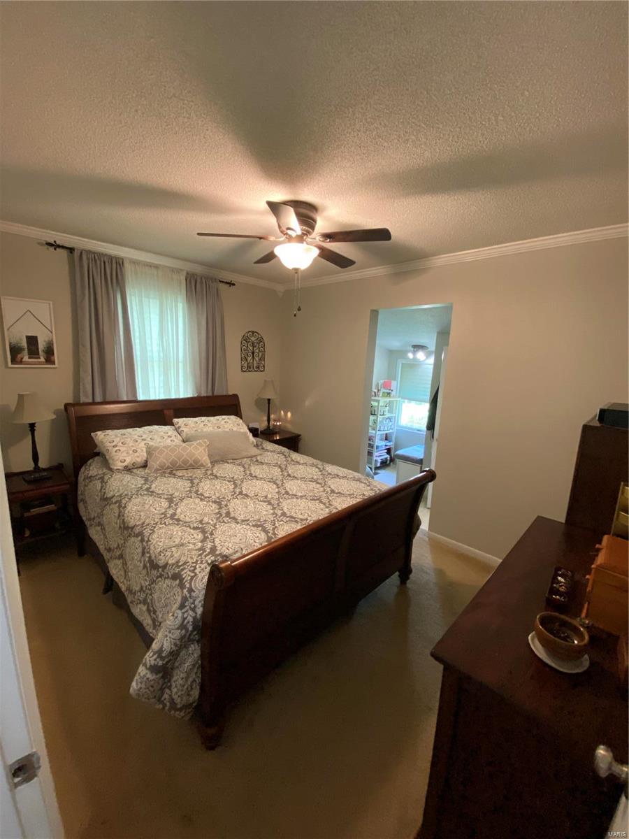 574 Cedar Creek Road Makanda, IL 62958 - Photo 18 of 40 Gallery Image 18