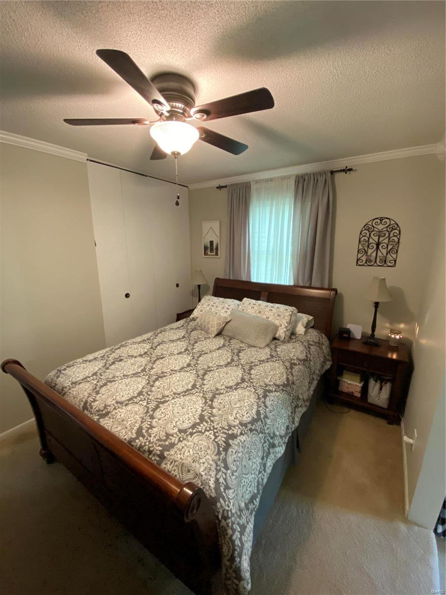 574 Cedar Creek Road Makanda, IL 62958 - Photo 19 of 40 Gallery Image 19