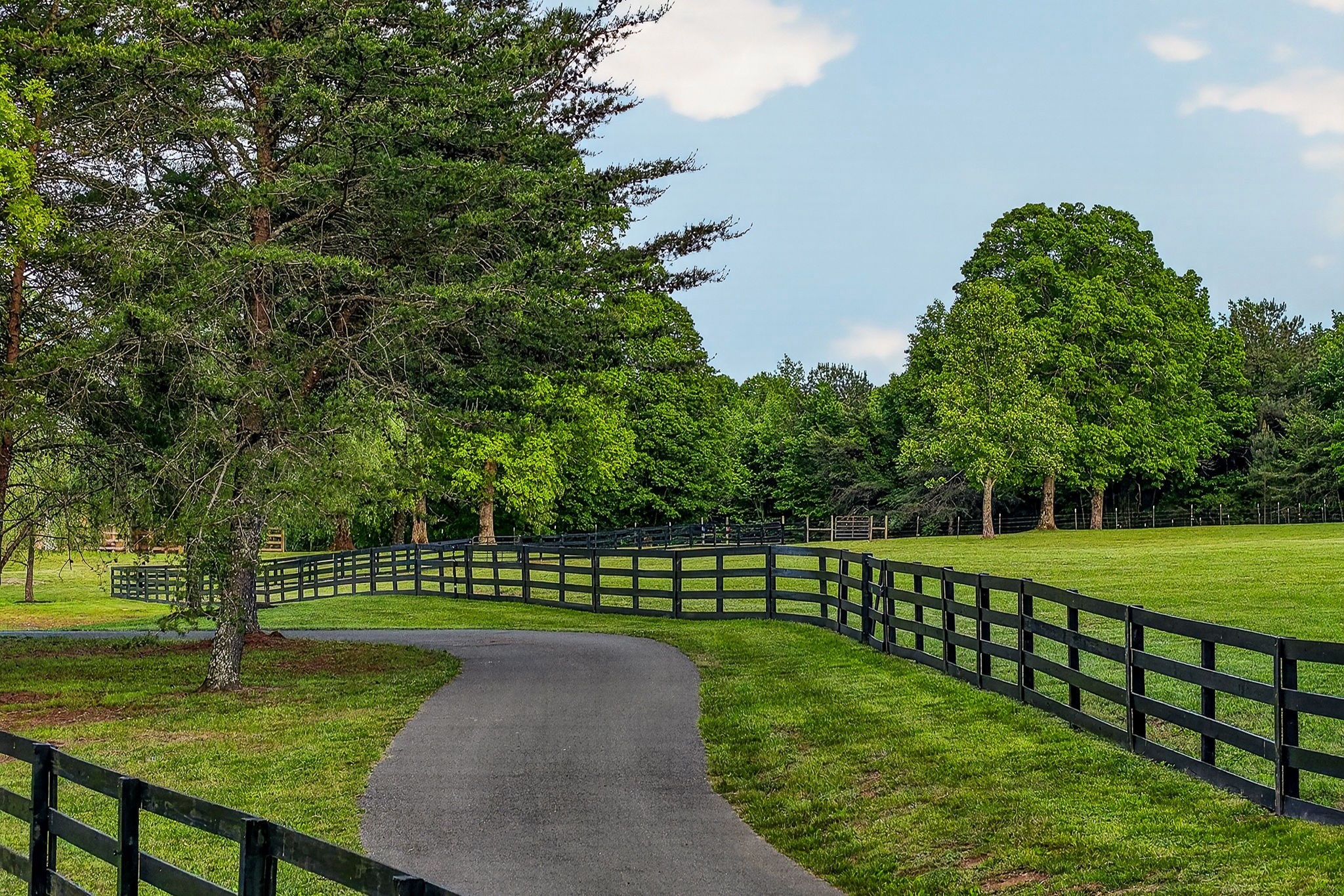 933 John Henry Lewis Road Dunlap, TN 37327 - Photo 17 of 100 a view of a park with large trees