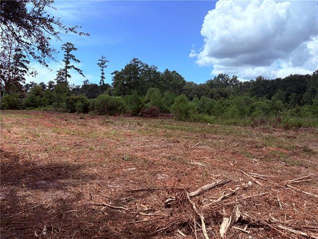 Parcel C Peters Road Madisonville, LA 70447 - Photo 2 of 7 Gallery Image 2