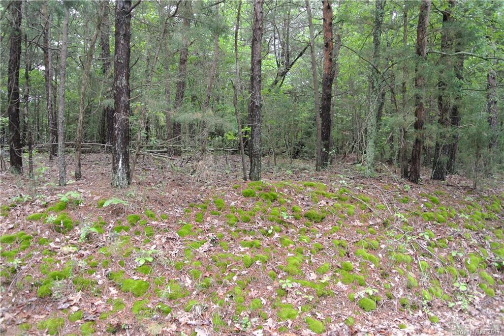 1-ac Lot Island View Circle, Unit A Fort Mill, SC 29708 - Photo 1 of 5 Gallery Image 1