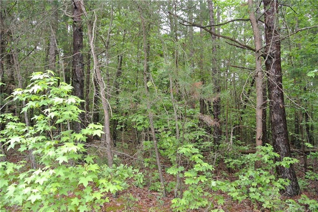 1-ac Lot Island View Circle, Unit A Fort Mill, SC 29708 - Photo 3 of 5 Gallery Image 3