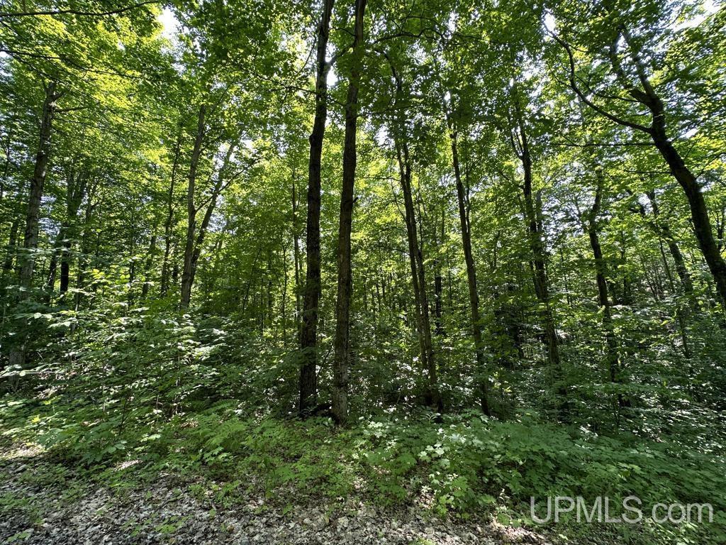 0 Cemetery Road Munising, MI 49862 - Photo 26 of 34 Gallery Image 26