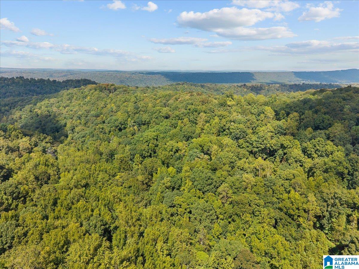 0 Cliff Road Springville, AL 35146 - Photo 10 of 16 Gallery Image 10