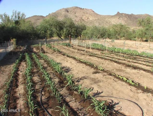 a view of a town with mountains in the background