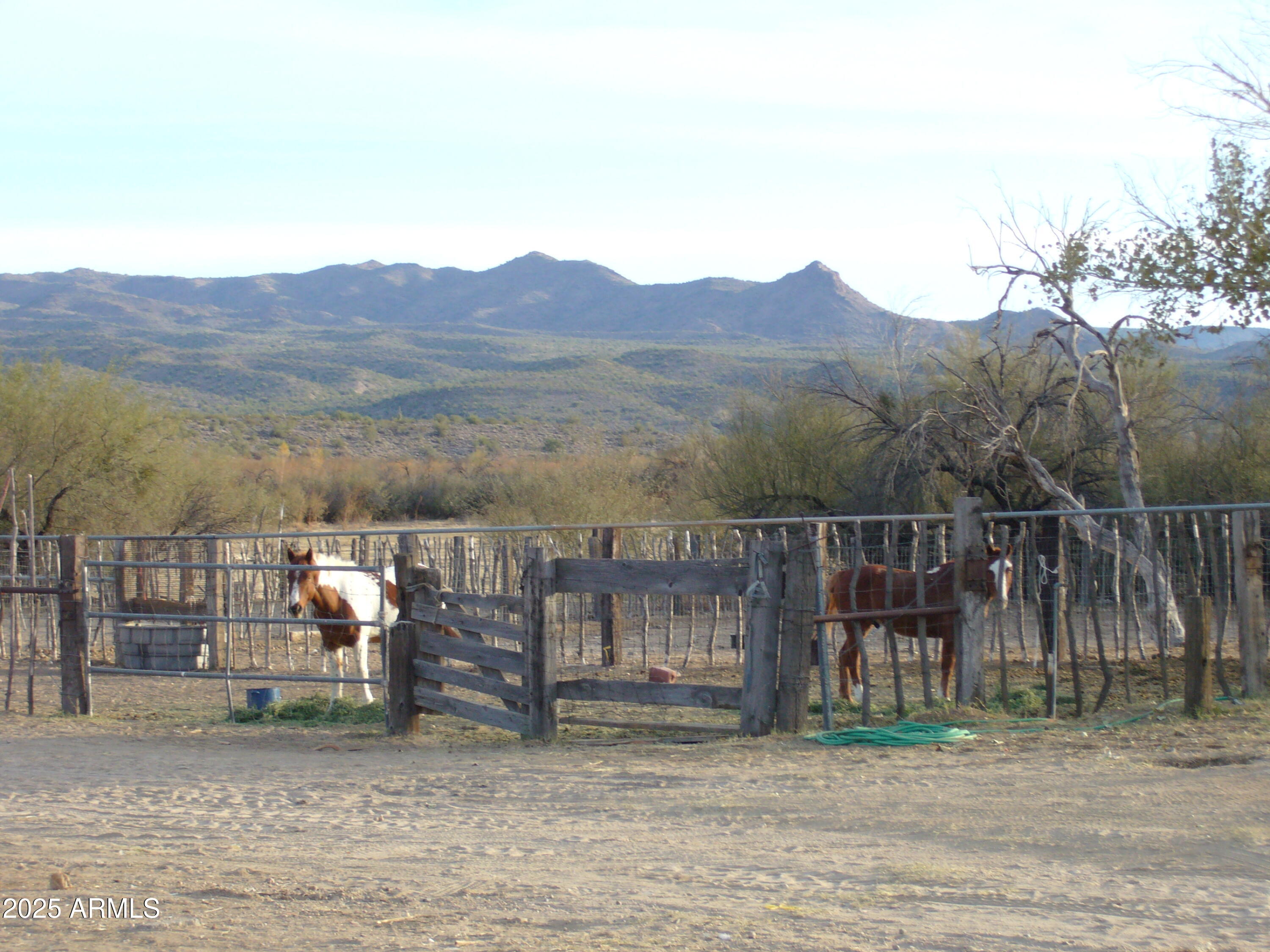 23624 Signal Road Yucca, AZ 86438 - Photo 5 of 6 a view of a back yard