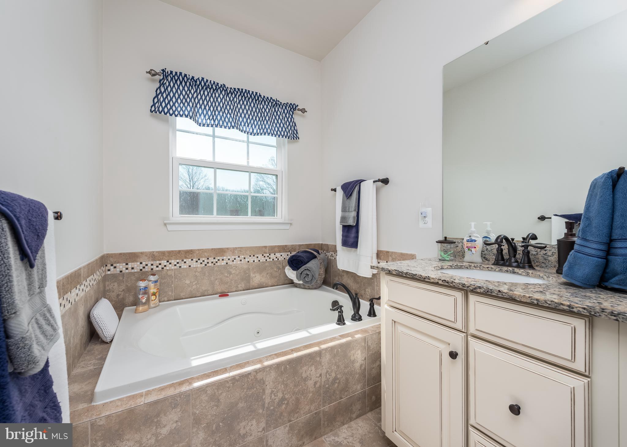9508 Watts Road Owings Mills, MD 21117 - Photo 16 of 27 Primary bath