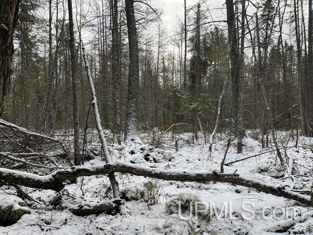 545 South Rd Skandia Mi 49885 Road Skandia, MI 49885 - Photo 17 of 38