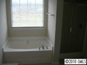 6324 Trotters Ridge Road Charlotte, NC 28227 - Photo 6 of 8 a bath tub sitting in a bathroom next to a window