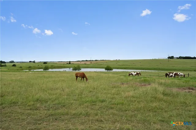 a view of a lake with a city
