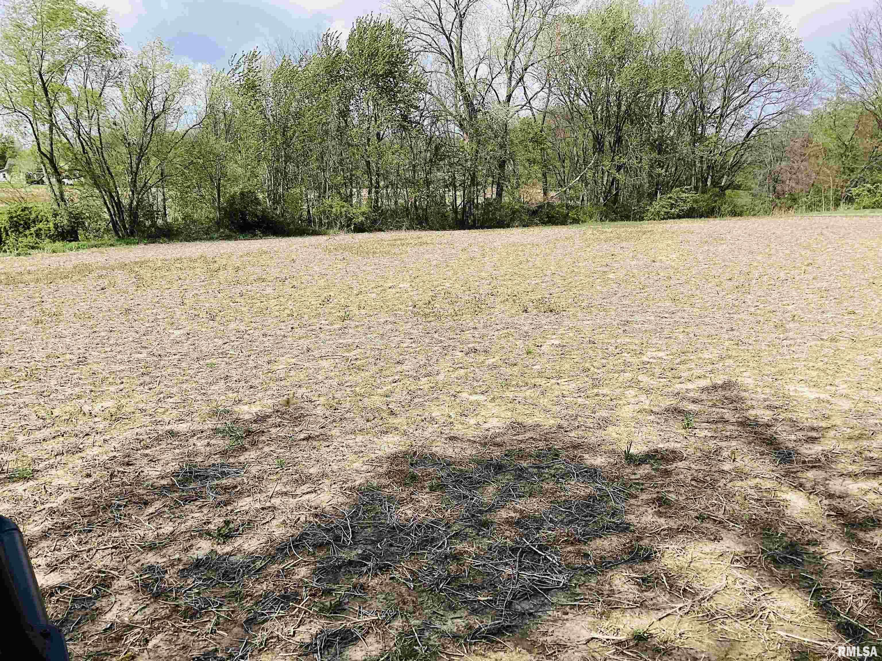 34707 Diamond Point Road Farmington, IL 61531 - Photo 18 of 83