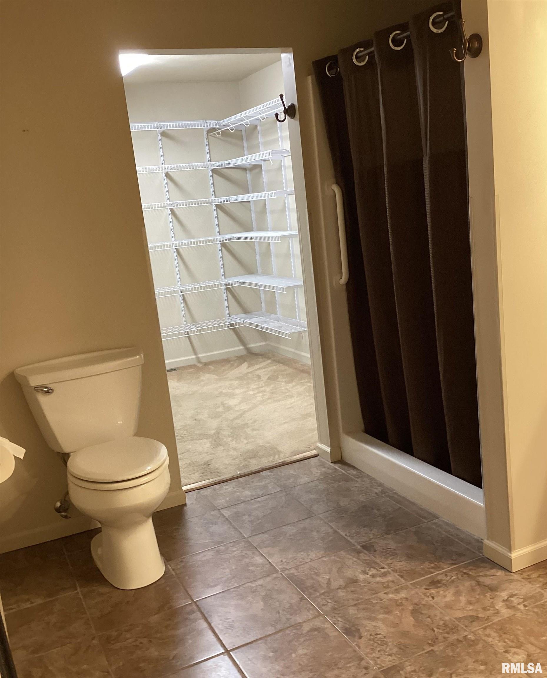 34707 Diamond Point Road Farmington, IL 61531 - Photo 44 of 83