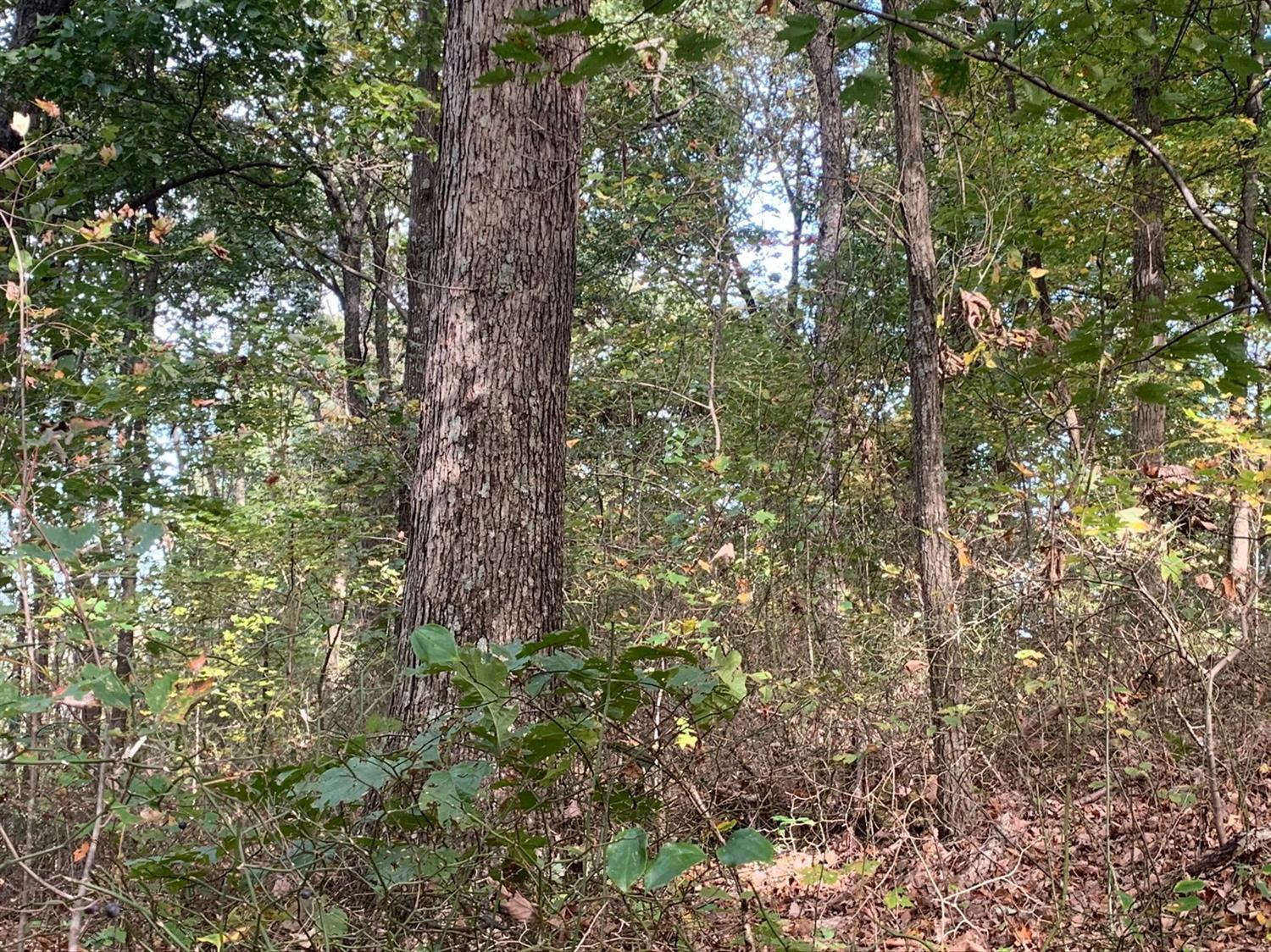 A Phipps Road Lucasville, OH 45648 - Photo 28 of 36 Gallery Image 28