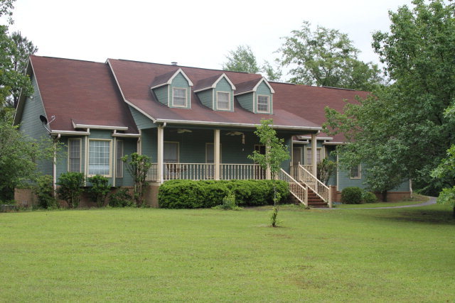Primary Photo