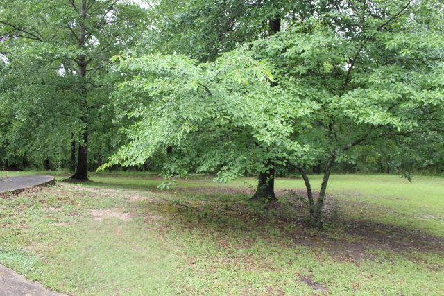 1881 Johnson Road Macon, GA 31220 - Photo 15 of 27 Additional Photo