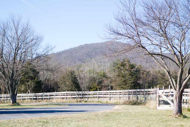 398 Stokesville Road Mount Solon, VA 22843 - Photo 15 of 22 Gallery Image 15