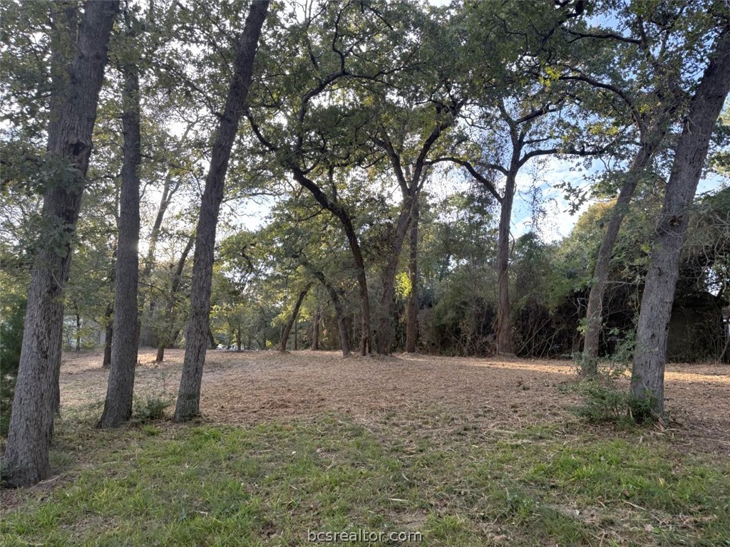 9389 Haney Road Franklin, TX 77856 - Photo 3 of 47 Gallery Image 3
