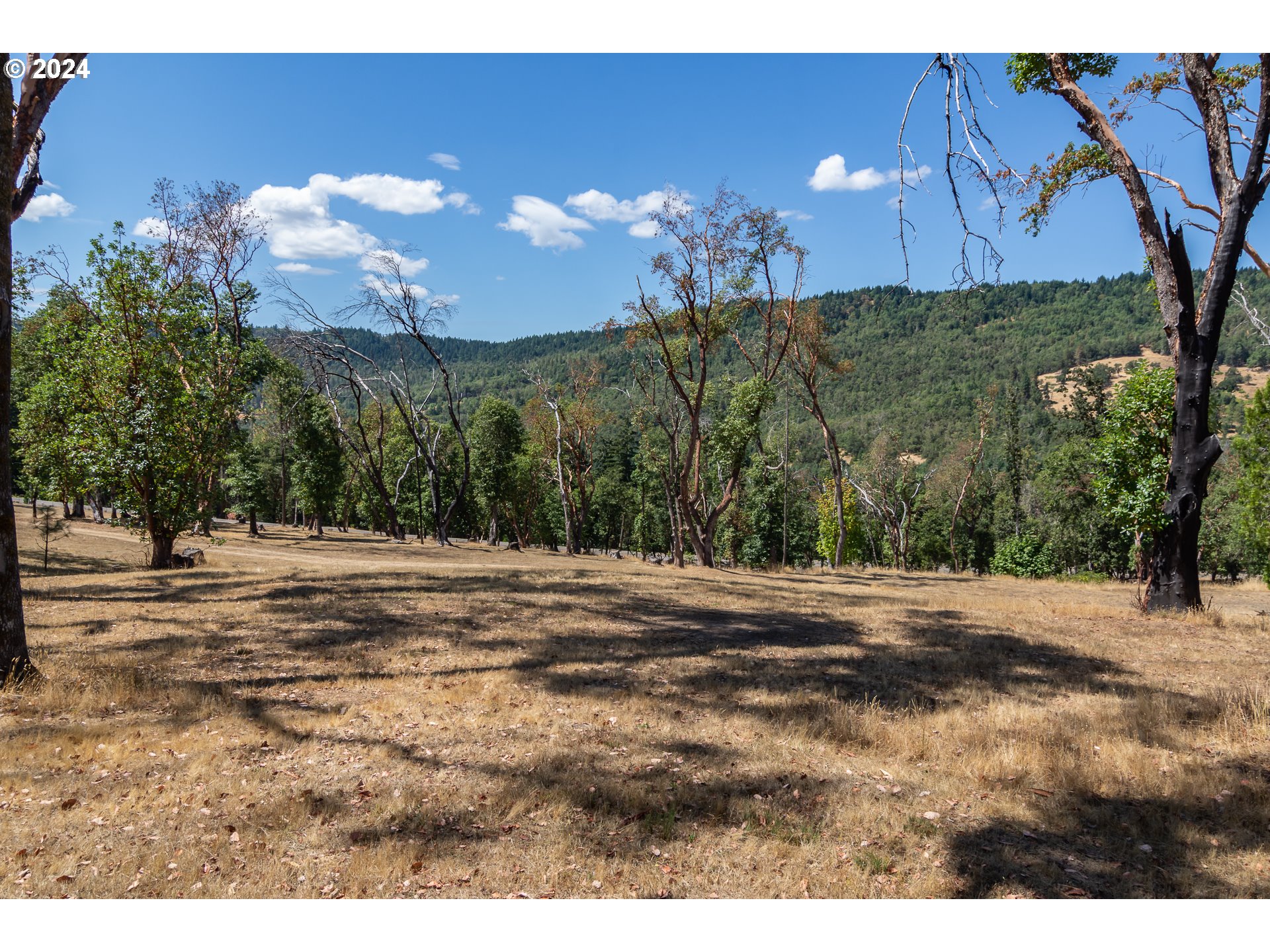 1213 Colonial Road Roseburg, OR 97471 - Photo 47 of 48 Gallery Image 47