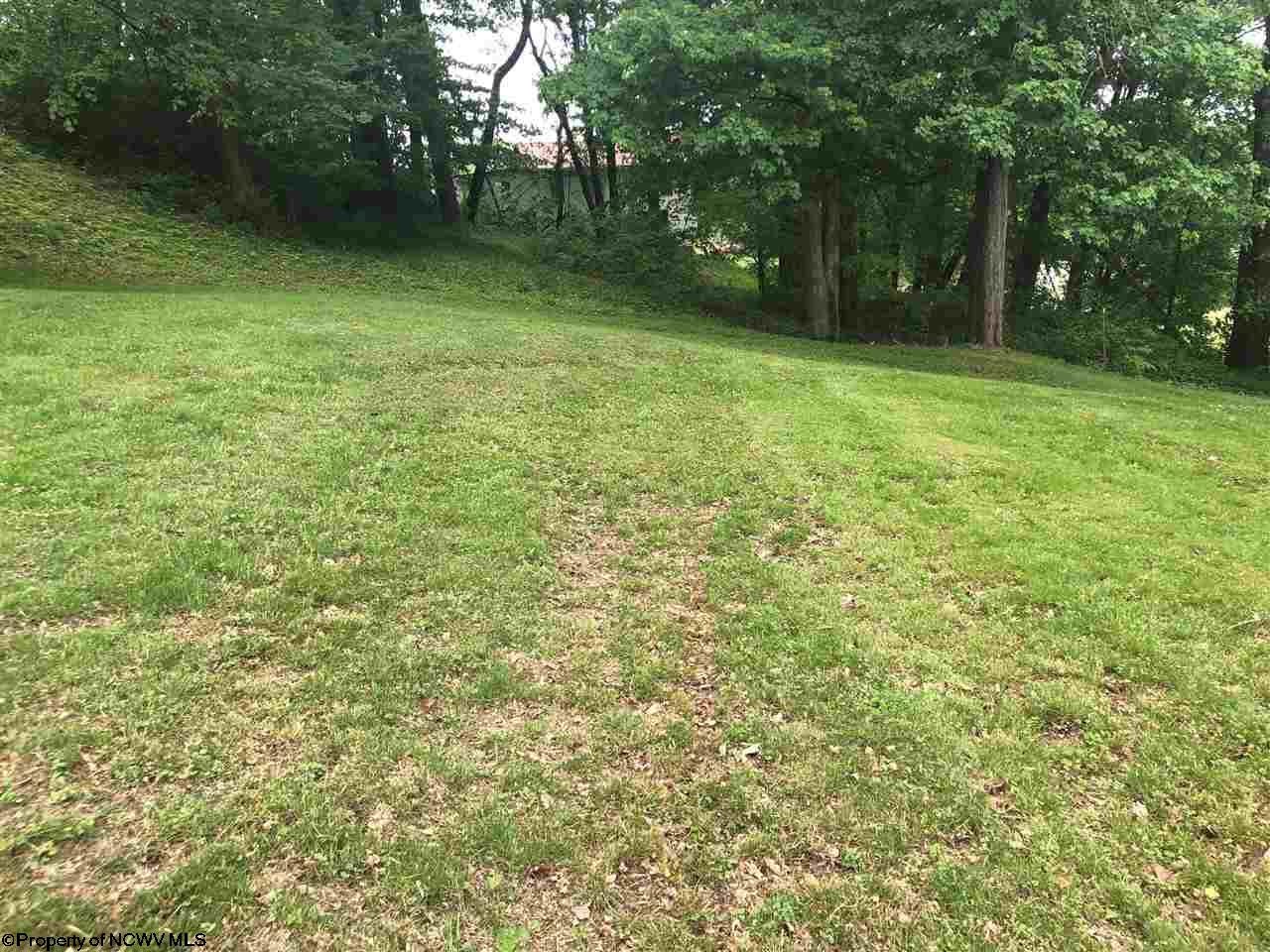 3801 Old Turnpike Road Sutton, WV 26601 - Photo 20 of 20 Gallery Image 20