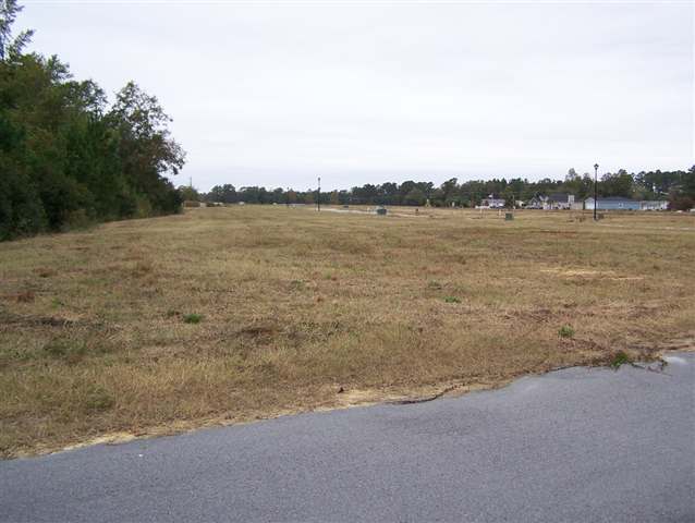 Lot 41 Cox Road Loris, SC 29569 - Photo 3 of 5 Gallery Image 3