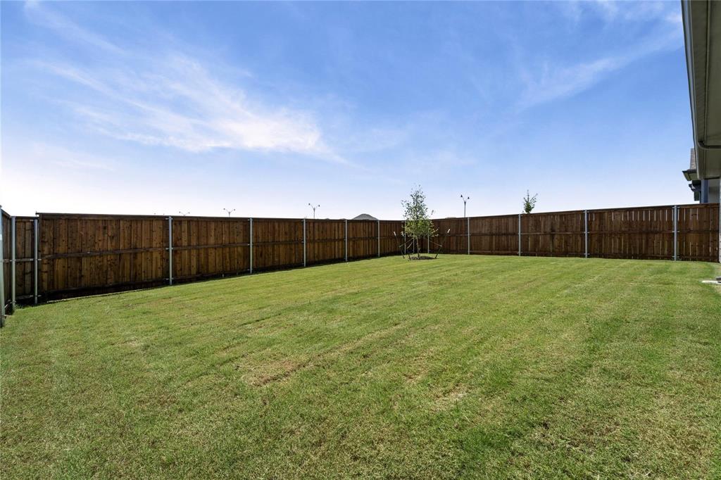 507 Avocet Road Princeton, TX 75407 - Photo 30 of 31 Expansive backyard featuring a manicured lawn, full perimeter wood fencing, and a young tree