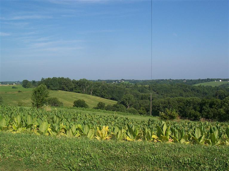 18 Fox Hunter Lane Dry Ridge, KY 41035 - Photo 4 of 4 Gallery Image 4