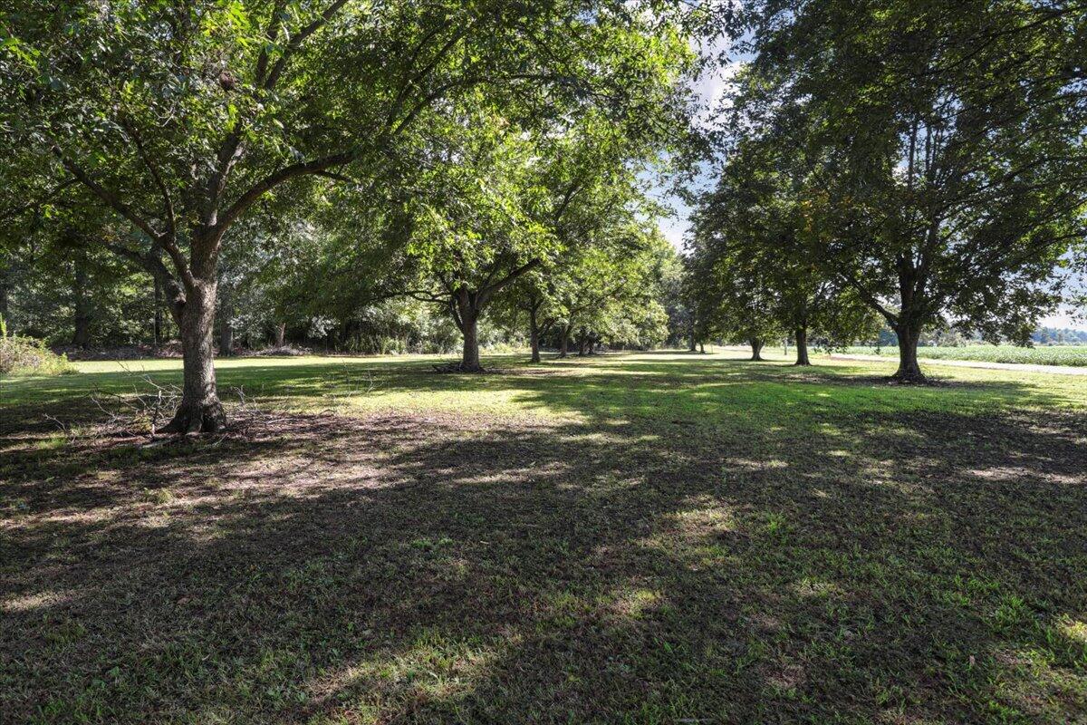 158 Clay 125 Road Corning, AR 72422 - Photo 33 of 44 23-IMG_2765