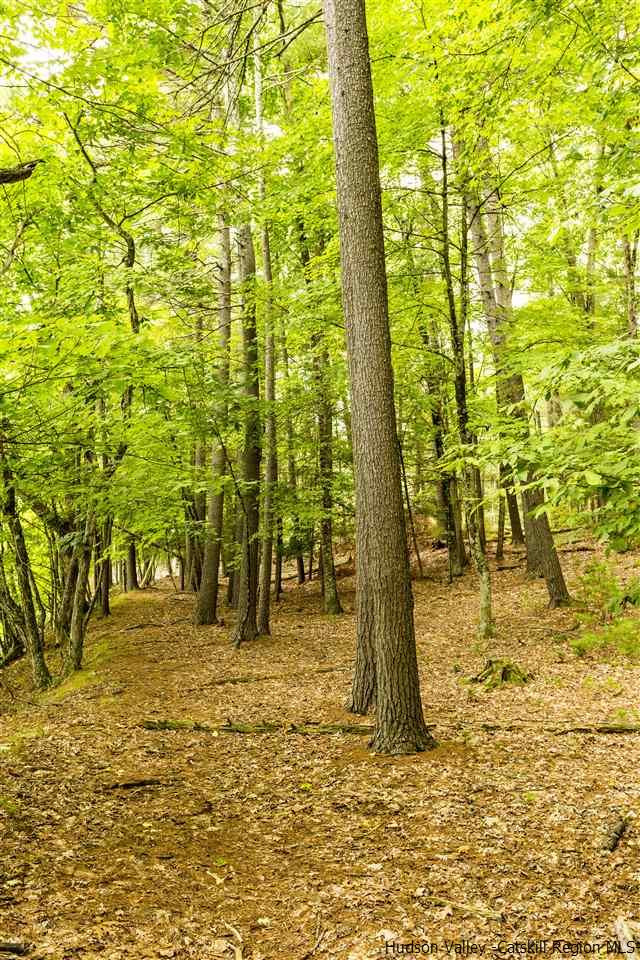 175 Canary Hill Stone Ridge, NY 12484 - Photo 31 of 35 Photo 31