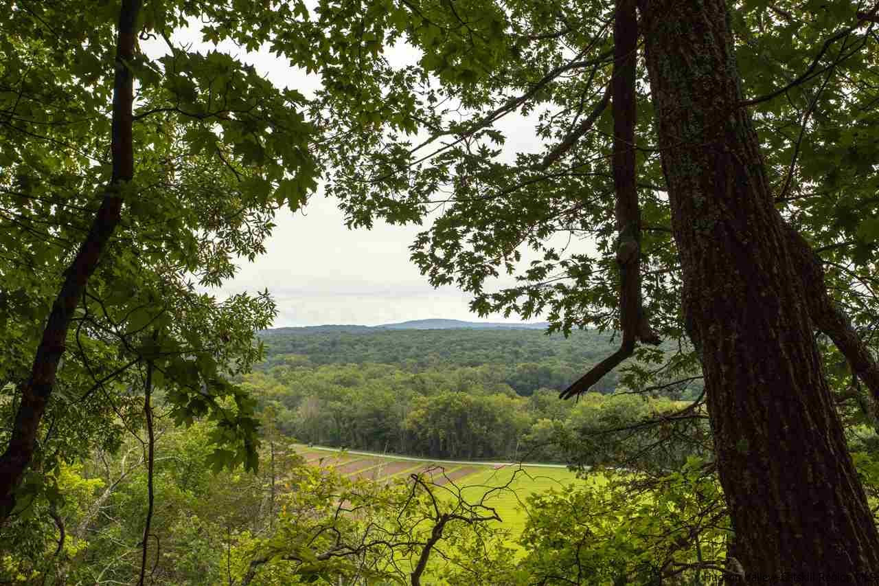 175 Canary Hill Stone Ridge, NY 12484 - Photo 35 of 35 Photo 35
