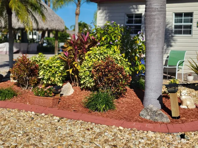 a view of a pathway with flower plants
