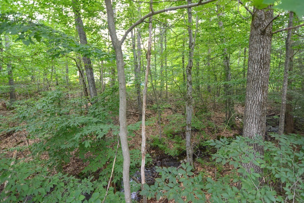 261 Billings Road Fitchburg, MA 01420 - Photo 35 of 42 Gallery Image 35