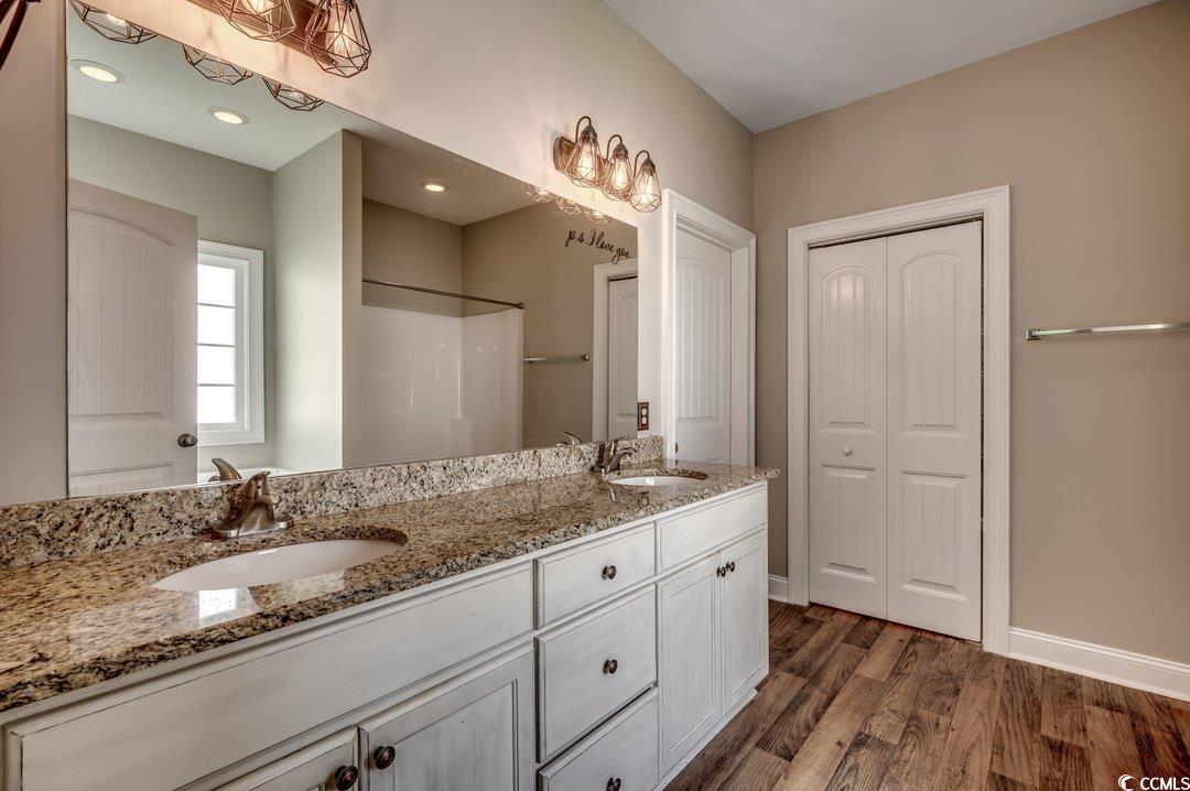 4076 Ridgewood Drive Conway, SC 29526 - Photo 19 of 32 Bathroom featuring vanity, a shower, and hardwood