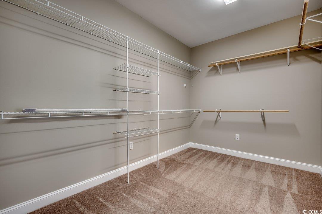 4076 Ridgewood Drive Conway, SC 29526 - Photo 22 of 32 Walk in closet with carpet floors