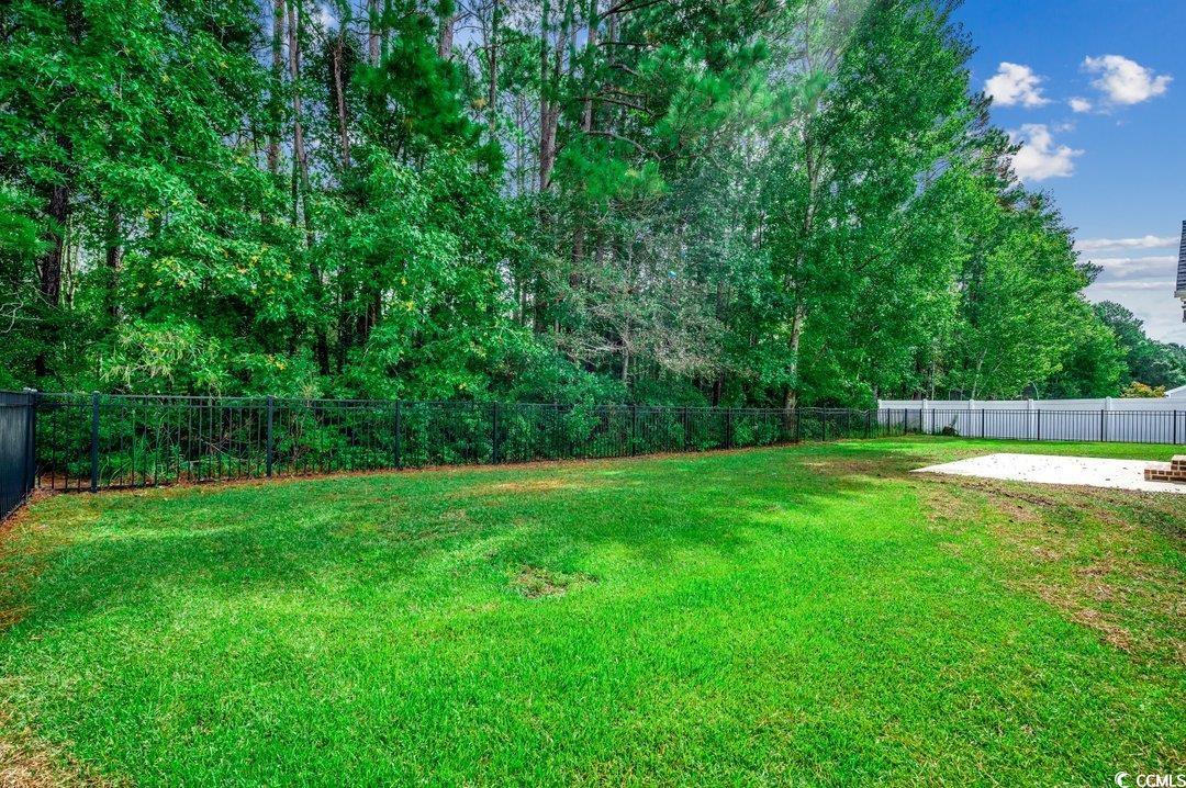 4076 Ridgewood Drive Conway, SC 29526 - Photo 26 of 32 View of yard