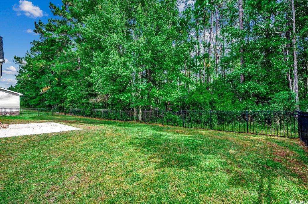 4076 Ridgewood Drive Conway, SC 29526 - Photo 30 of 32 View of yard