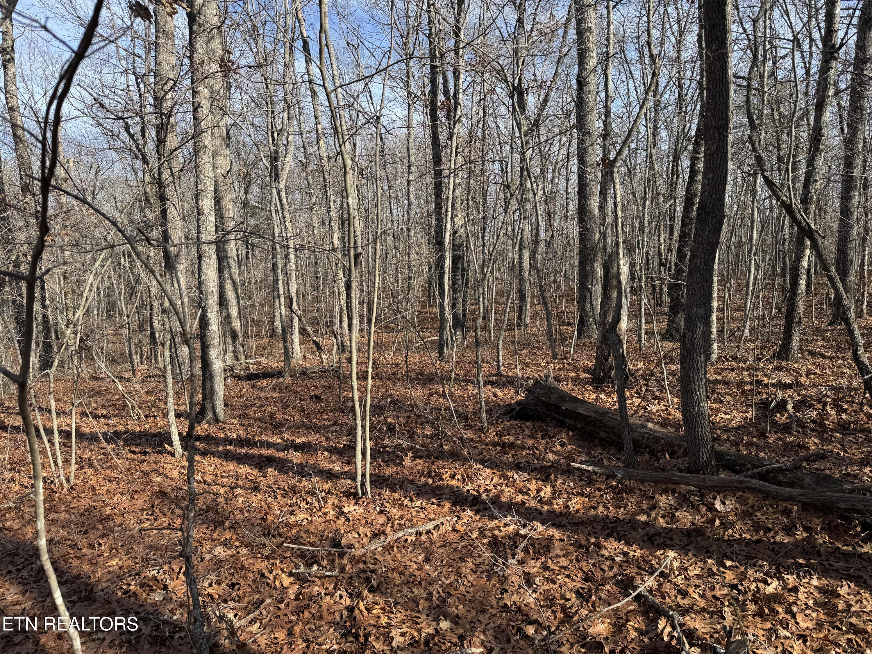 Sycamore Bend Monterey, TN 38574 - Photo 3 of 6 IMG_0973