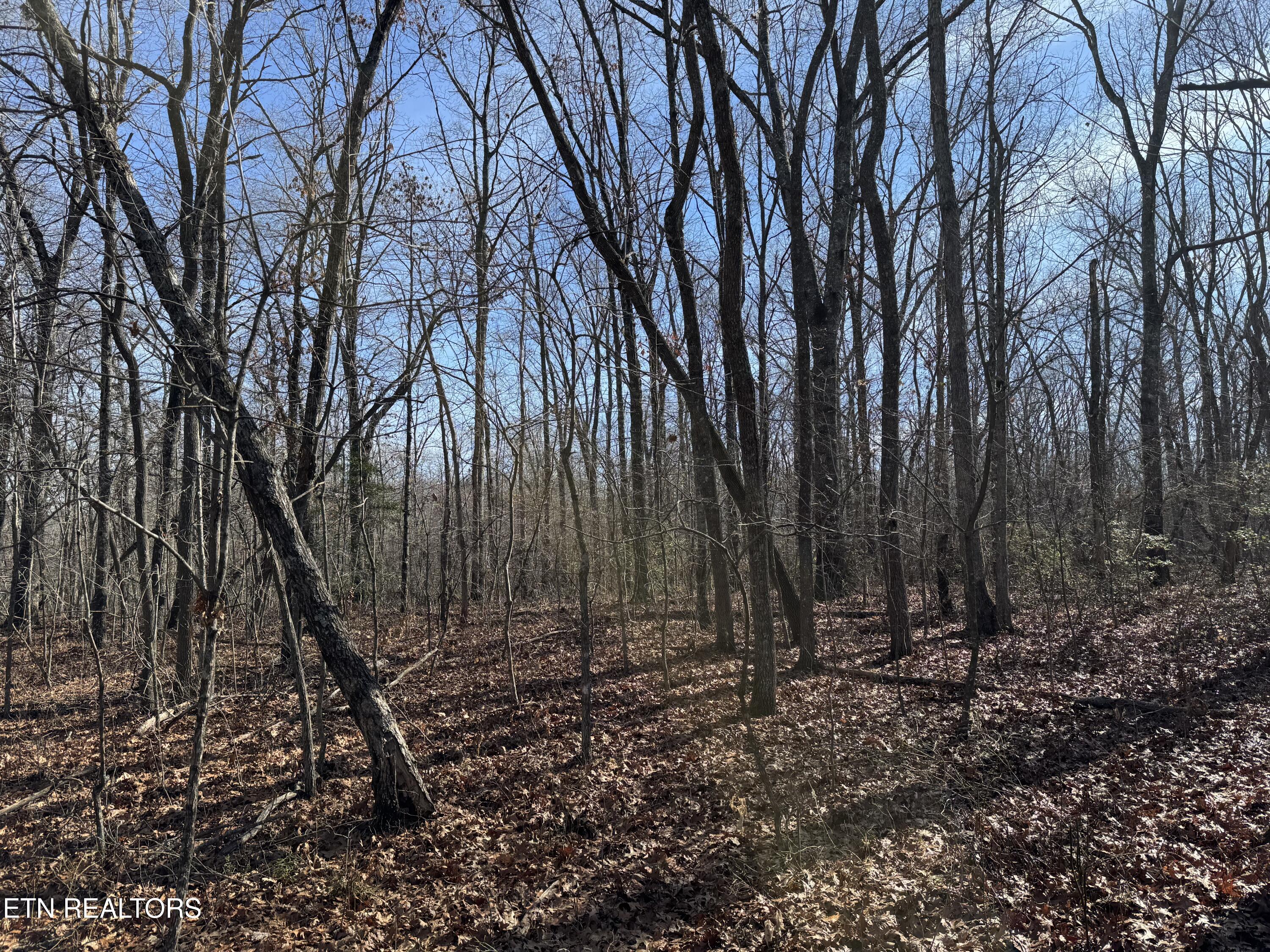 Sycamore Bend Monterey, TN 38574 - Photo 4 of 6 IMG_0974