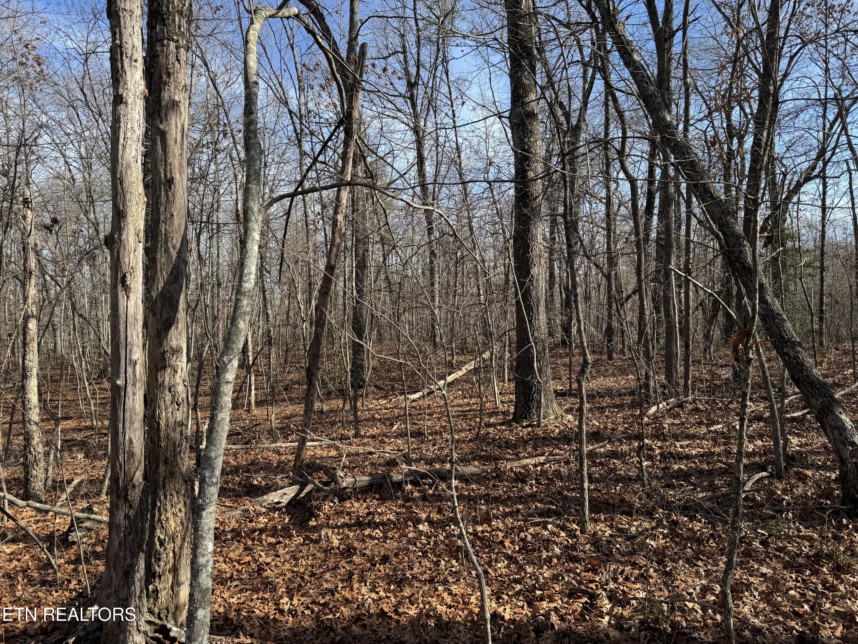 Sycamore Bend Monterey, TN 38574 - Photo 5 of 6 IMG_0975