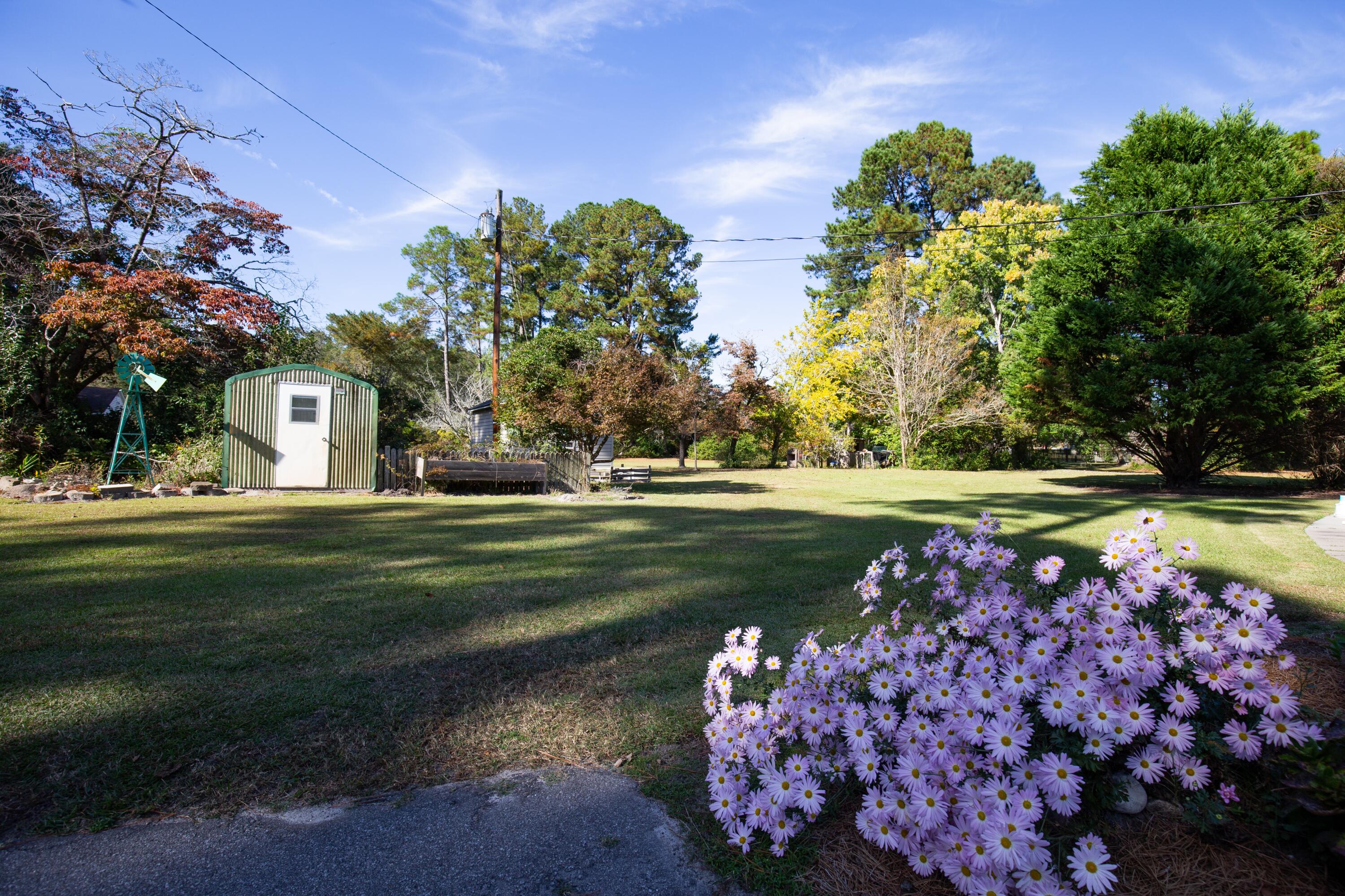 360 Pine Street Bamberg, SC 29003 - Photo 4 of 34