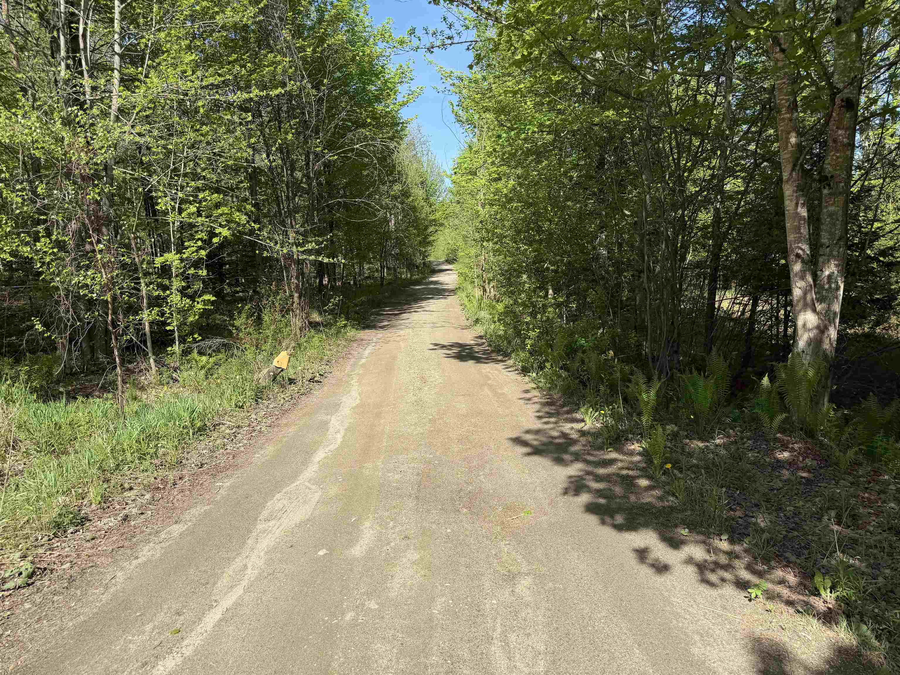 550 Petit Road Newport, VT 05855 - Photo 18 of 20