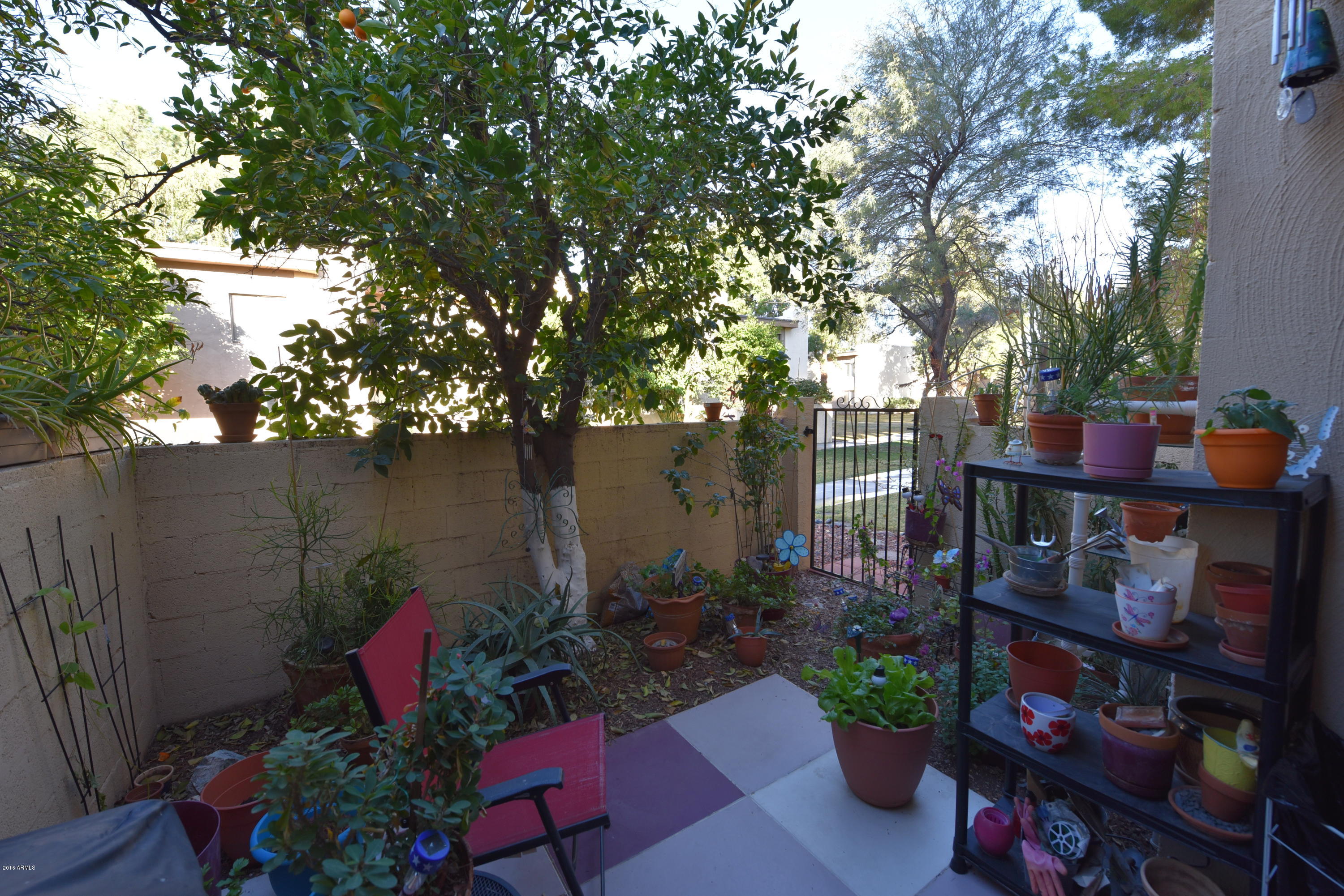 4201 East Camelback Road, Unit 67 Phoenix, AZ 85018 - Photo 13 of 23 DSC_0182