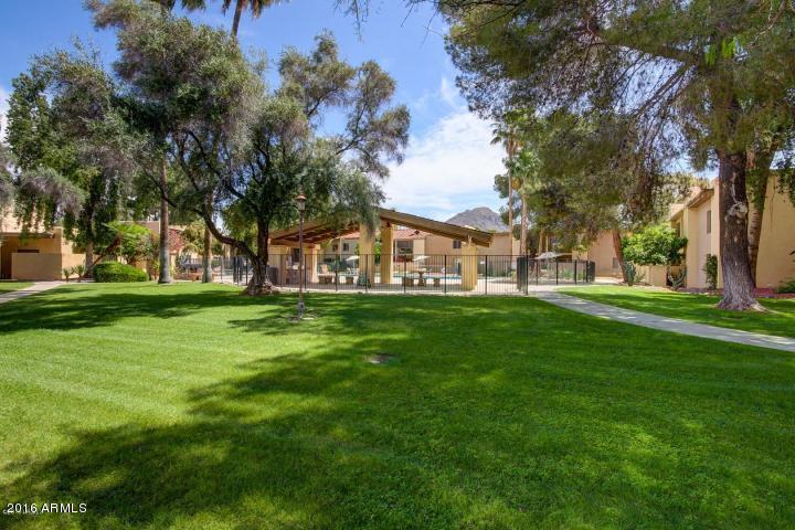 4201 East Camelback Road, Unit 67 Phoenix, AZ 85018 - Photo 6 of 23 20150511190111020450000000-o