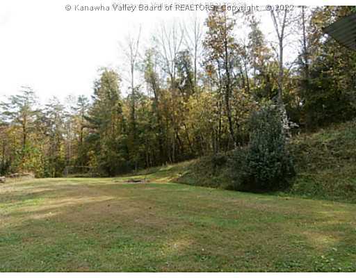 691 Joyce Road Scott Depot, WV 25560 - Photo 8 of 16 Yard/Garden.
