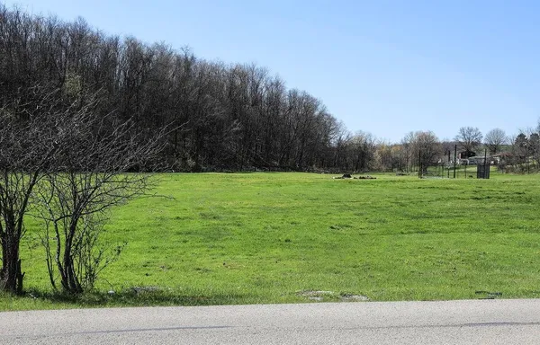 a view of a field with an trees