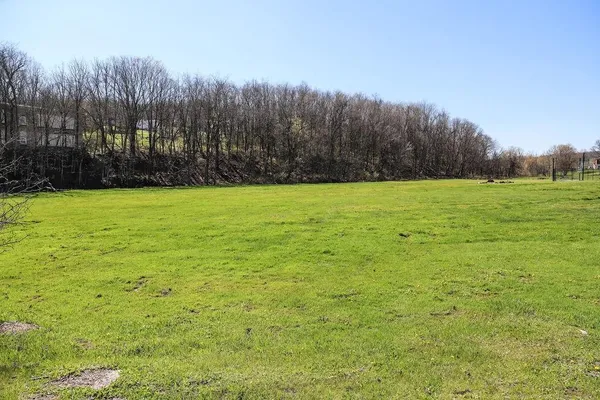 a view of a green field with trees in the background