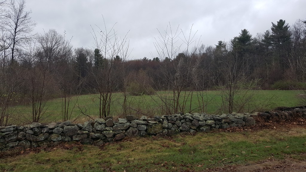 Lot B Doane Road Ware, MA 01082 - Photo 1 of 2 Gallery Image 1
